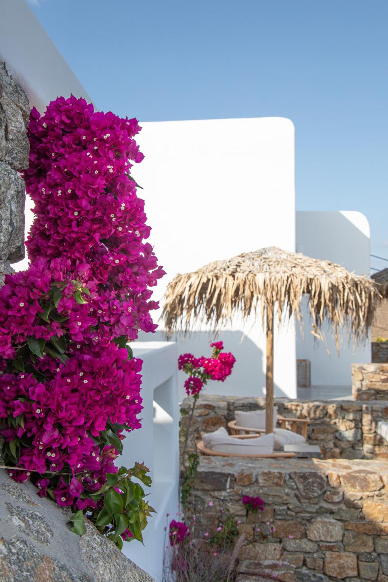 Bed & Breakfast The Summit Of Mykonos